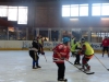 Eishockey_2014_17